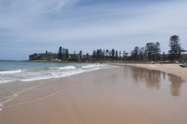 Dee Why
